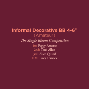 Informal Decorative BB 4 Amateur